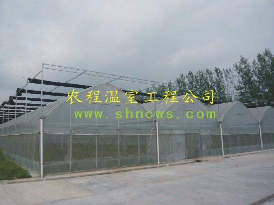 供应杭州温室连栋温室大棚和大棚配件 杭州大棚