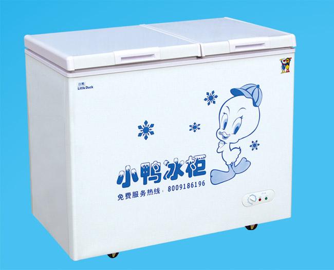 供应大冷冻小冷藏冰柜 大冷冻小冷藏 家用冰柜 冷柜BCD-167图片