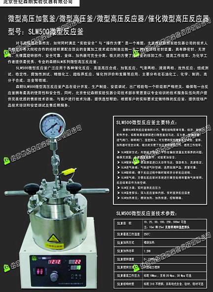 供应SLM500微型磁力高压反应釜/上海高压反应釜微型磁力高压反