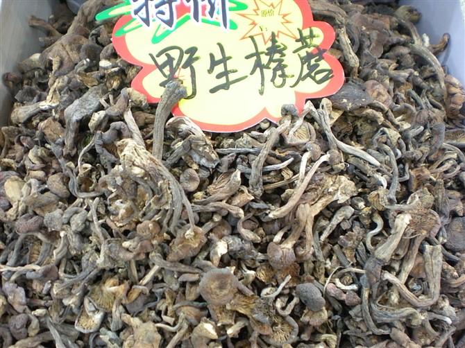 哈尔滨市批发野生臻蘑等各种野生蘑菇厂家