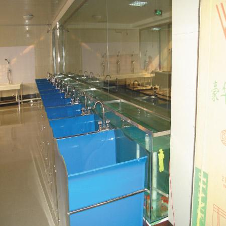 供应北京婴儿游泳婴儿水育训练泳池婴儿游泳厂家婴儿游泳报价