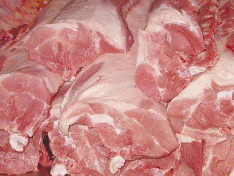 野猪肉的营养价值批发
