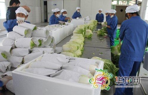 上海市水果包装纸蔬菜包装纸拷贝纸厂家