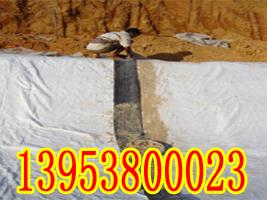 亳州覆膜膨润土防水毯##亳州GCL膨润土防水垫厂家直销现货