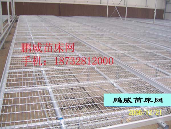 供应热镀锌苗床网，移动苗床，温室苗床网，苗床网厂家