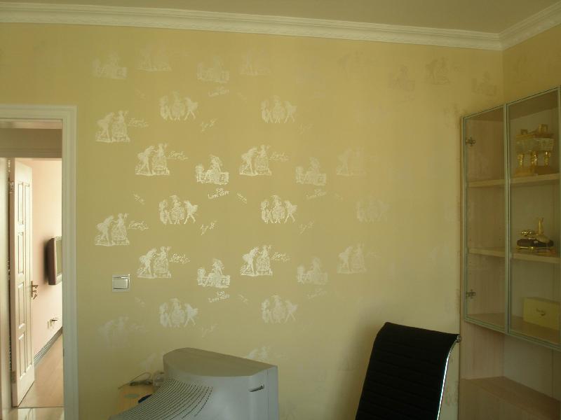供应2012年创业新项目雅利源液体壁纸印花漆滚花漆