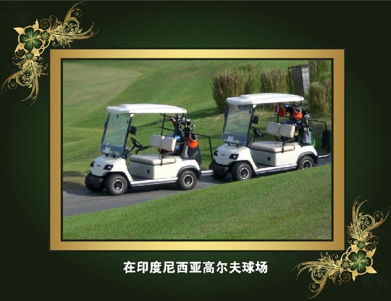 供应高尔夫旅游观光车，电动高尔夫旅游观光车，电动高尔夫球车，球车