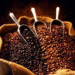 咖啡豆供应咖啡机供应咖啡原料批发