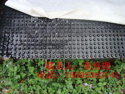 绿化排水板宁波排水板土工布厂家直销