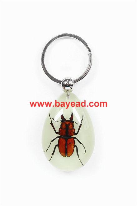 昆虫标本昆虫钥匙扣琥珀工艺品供应昆虫标本昆虫钥匙扣琥珀工艺品