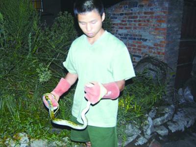 养殖蛇的方法蛇的养殖方法工具蛇酒批发