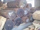 商检报关：南沙港木材进口代理商检报关南沙港木材进口代理