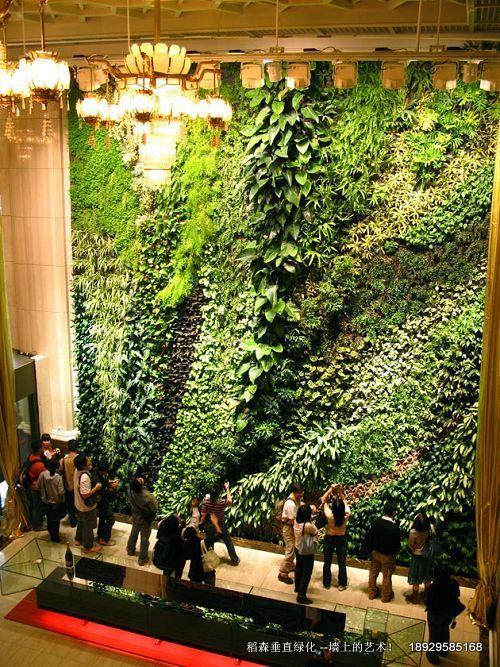 广州市植物生态墙绿墙厂家