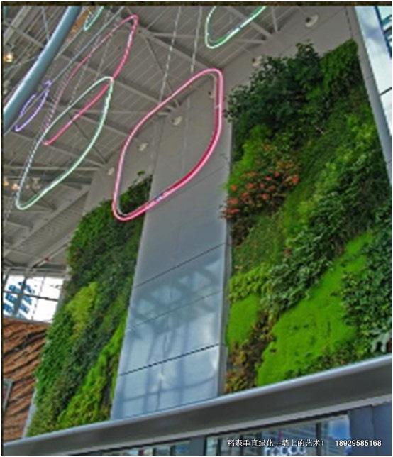无土垂直绿化创造者--稻森植物墙无土垂直绿化创造者稻森植物墙