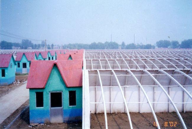 供应温室大棚建设安徽温室骨架大棚种植温室大棚骨架