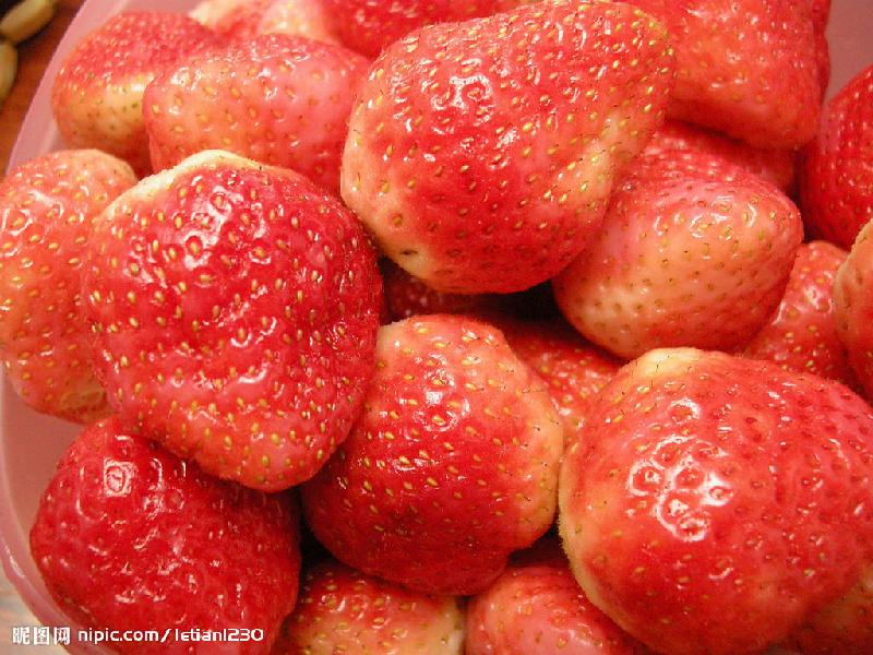 优质大棚草莓供应优质大棚草莓