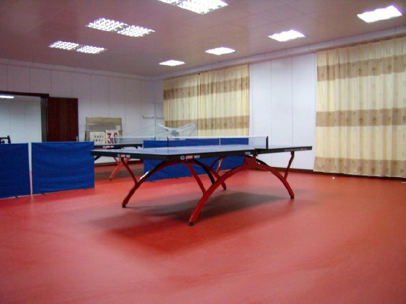 乒乓球室地板品牌 塑胶地板价格 塑胶场地价格