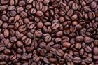 咖啡豆进口代理报关◤ ◥咖啡豆进口货运代理