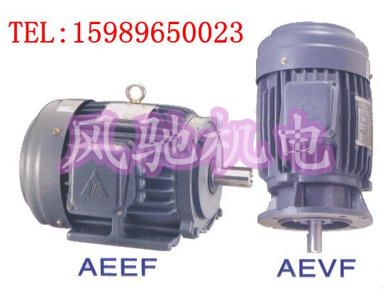 供应AEEF卧式3P东元马达电机图片