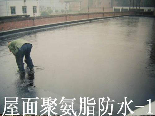 供应广州开发区东区防水补漏工程部