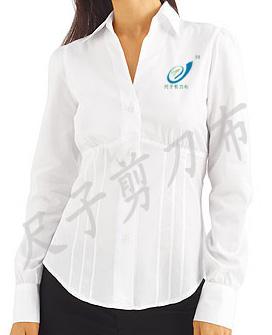 供应办公女职业装夏季女衬衫夏季职业套装白领工作服全棉衬衫图片