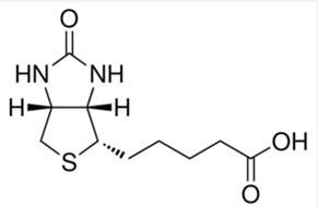 供应D生物素，D-促进素；维生素H；辅酶R