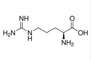 供应L-精氨酸 L-Arginine CAS＃：74-79-3