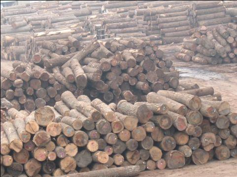 非洲缅茄木进口代理木头报关代理批发