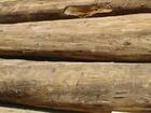 非洲原木进口代理上海木材进口报关批发