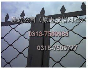 河北胜迈供应专业防盗门窗美格护栏网安全防护网