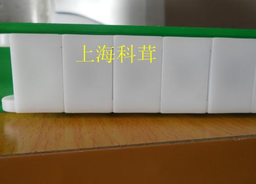 供应上海40P60P工程塑料链条