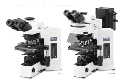 进口奥林巴斯荧光显微镜BX51T-32F01-FLB3（代理商）