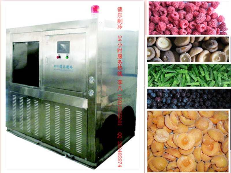 供应蔬菜水果速冻冷冻机、蔬菜速冻冷冻机、水果速冻冷冻机