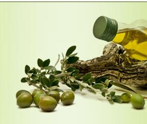供应家庭烹饪橄榄油