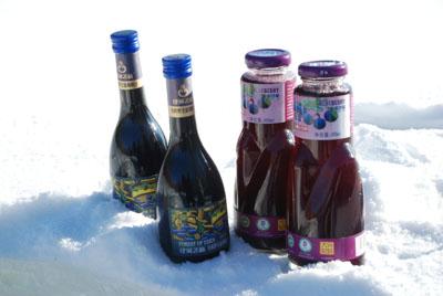 有机野生蓝莓原汁供应有机野生蓝莓原汁  野生蓝莓汁 蓝莓果汁饮料