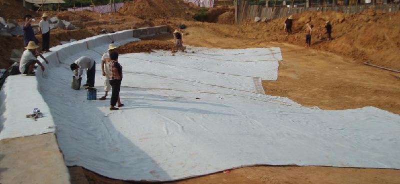 供应长沙钠基膨润土防水毯