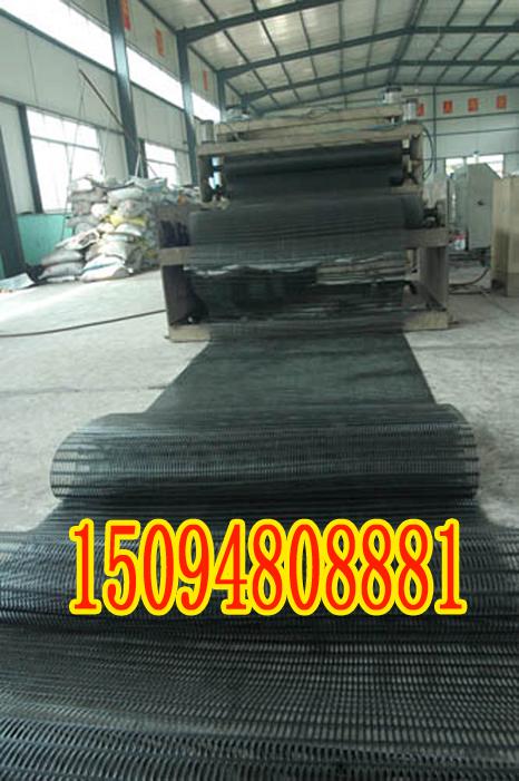 邵阳玻纤土工格栅生产厂家ㄨ钢塑/涤纶土工格栅低价供应