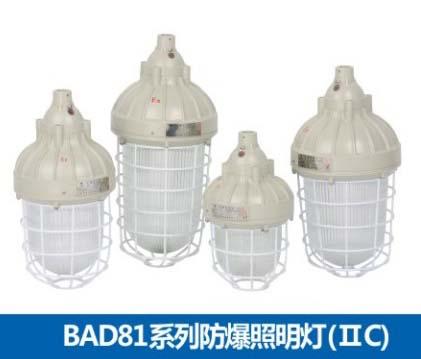 供应防爆灯BAD81紧凑型防爆节能灯防爆灯BAD81防爆节能灯