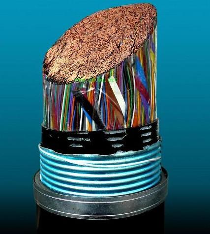 供应承德通信电缆/HYA/5020.5通信电缆说明通信电缆色谱