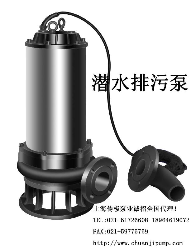 上海传极水泵厂制造排污泵消防泵批发