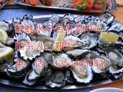 供应最好吃的湛江生蚝图片