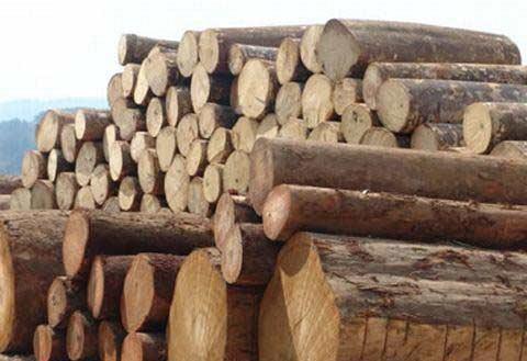 供应泰国的橡胶木进口代理报关