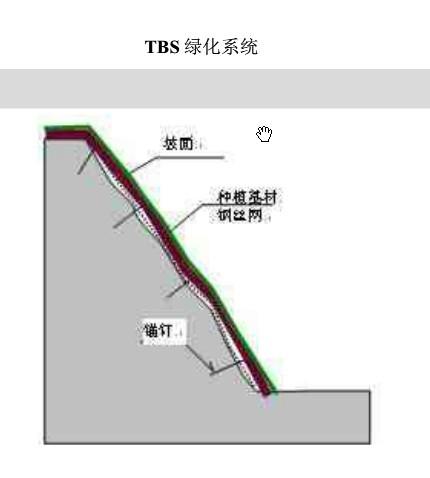 供应TBS绿化防护工程/TBS绿化网