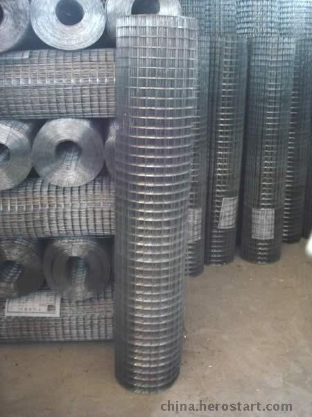 供应1米30米电焊网卷-镀锌电焊网卷销售