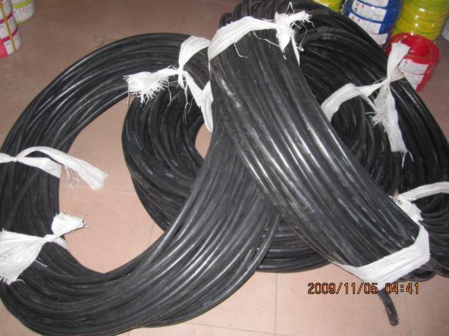 供应电力电缆通讯电缆首选广东著名电缆图片