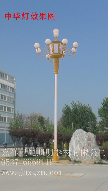 供应泗水县7米8米热镀锌喷塑路灯杆，30年不上锈。