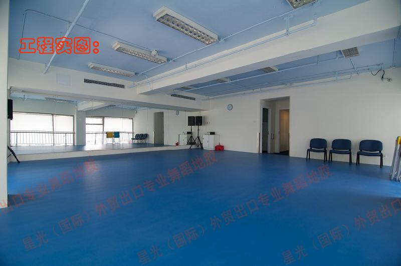专业生产舞蹈教室地板、舞蹈教室专用地胶/舞蹈教室专用地板/舞蹈教