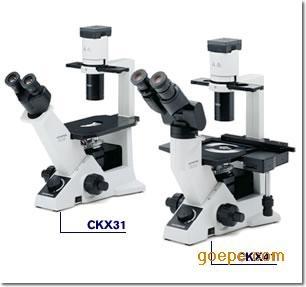 奥林巴斯倒置显微镜CKX41-A21RC批发
