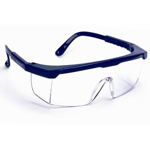 西斯贝尔RAX-7228防护眼镜批发