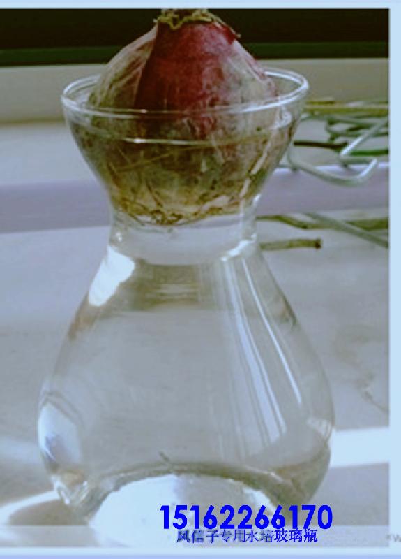 供应水培花瓶风信子玻璃瓶图片